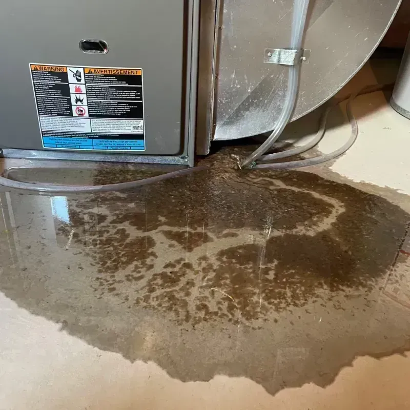 Appliance Leak Cleanup in Henry County, IL